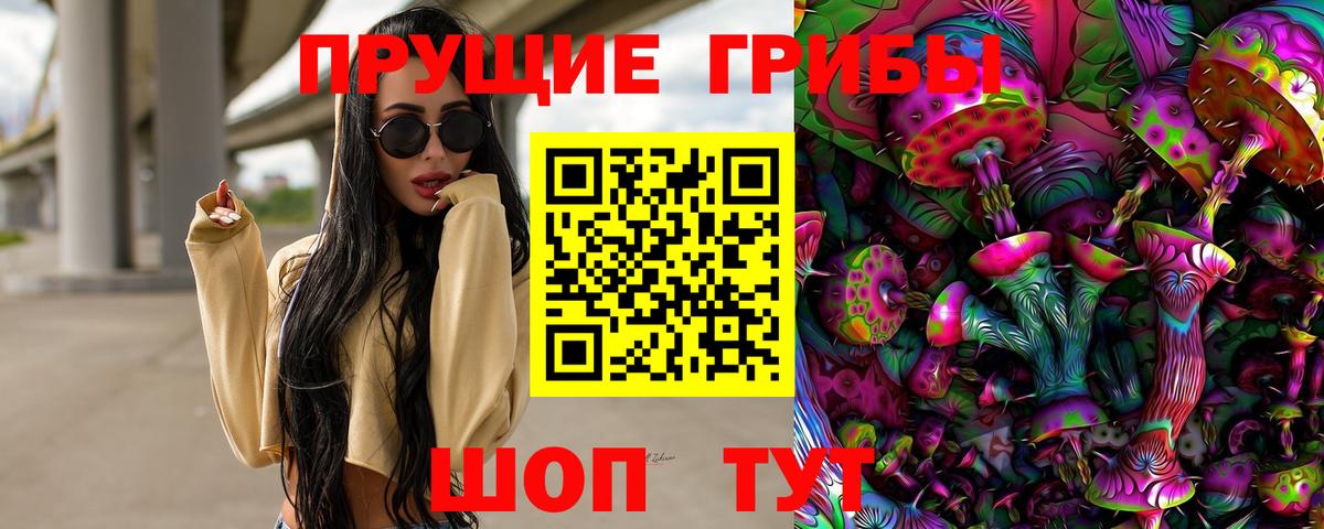 Ликино-Дулёво  Псилоцибиновые грибы прущие грибы  что такое   Вход с VPN 